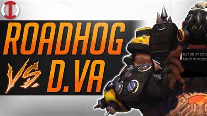 D.Vaの“ポットg”がロadhogに遮られる瞬間：勝敗を分ける判断