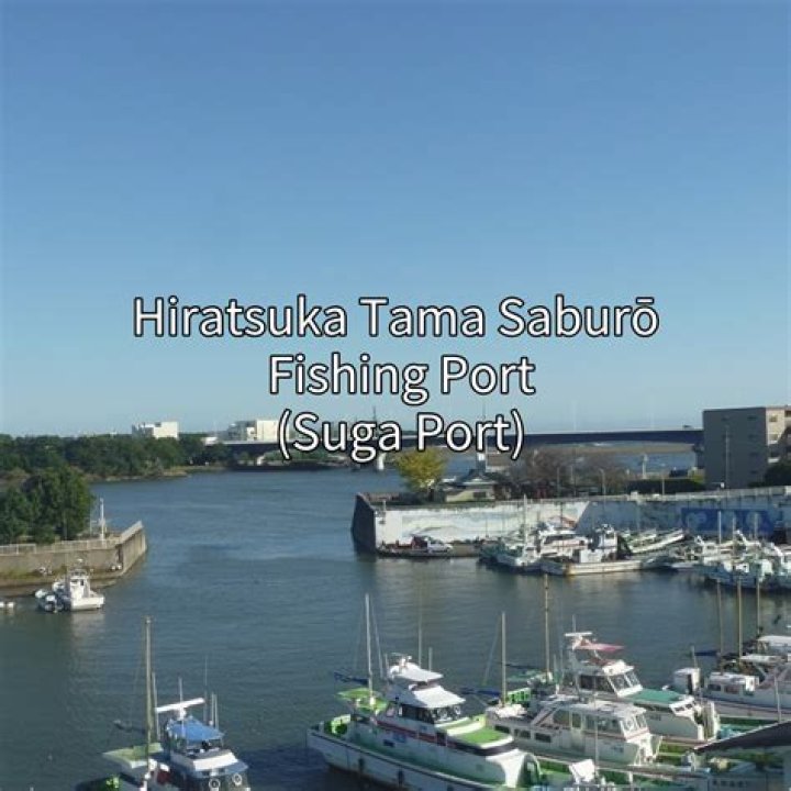 ひらつか「タマ三郎」漁港の駐車場ガイド｜迷わない停め方と周辺情報