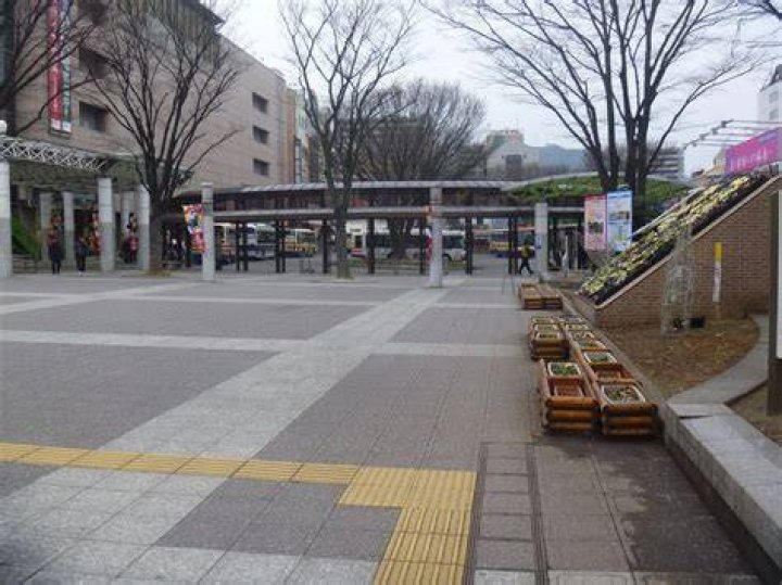 熊本駅「白川口」「東口」駅前広場で迷わない：見どころと動き方ガイド